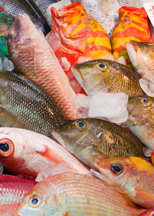 Colorful,Fresh,Tropical,Fish,In,The,Market,,Okinawa,,Japan