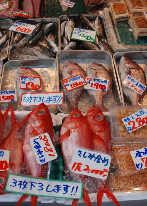 Fish,Market,Japanese,Food