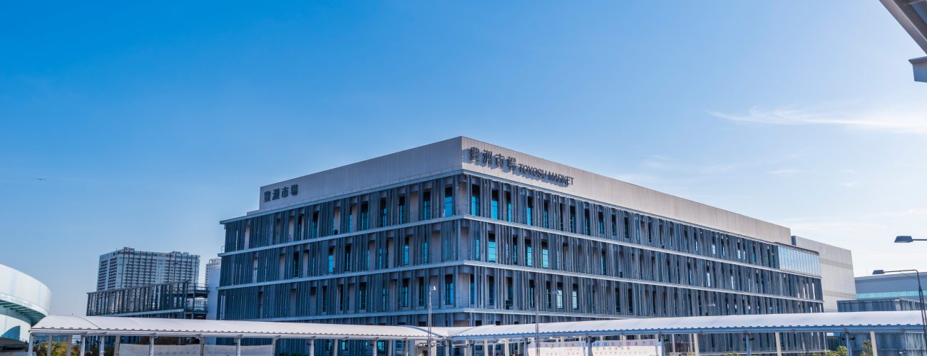 Koto,,Tokyo,/,Japan,-,October,22,2018,:,Scenery